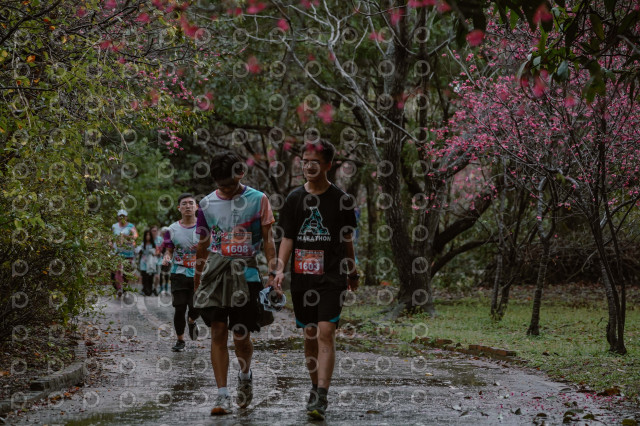 2026左岸竹東櫻花馬拉松Zhudong Sakura Marathon