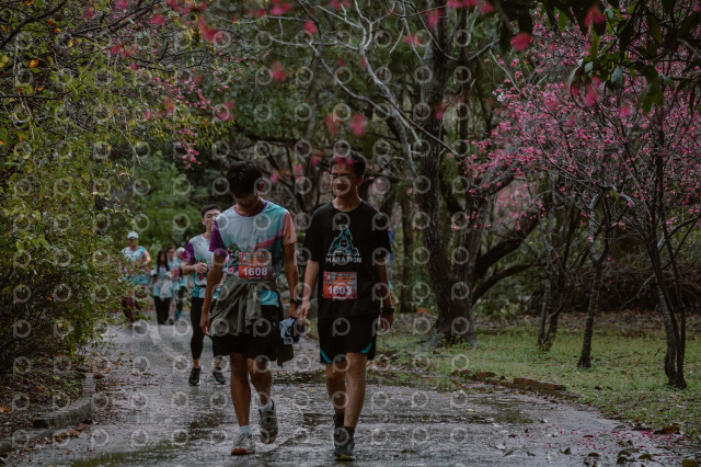 2026左岸竹東櫻花馬拉松Zhudong Sakura Marathon