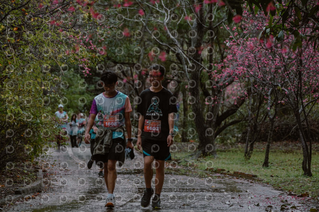 2026左岸竹東櫻花馬拉松Zhudong Sakura Marathon