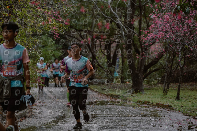 2026左岸竹東櫻花馬拉松Zhudong Sakura Marathon