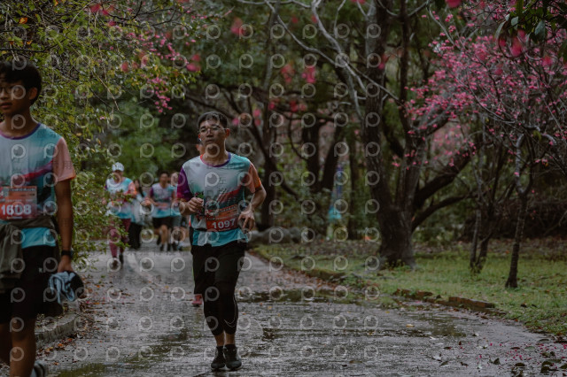 2026左岸竹東櫻花馬拉松Zhudong Sakura Marathon