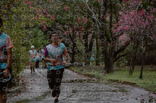 2026左岸竹東櫻花馬拉松Zhudong Sakura Marathon