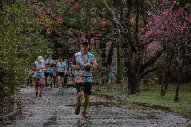 2026左岸竹東櫻花馬拉松Zhudong Sakura Marathon