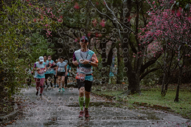 2026左岸竹東櫻花馬拉松Zhudong Sakura Marathon