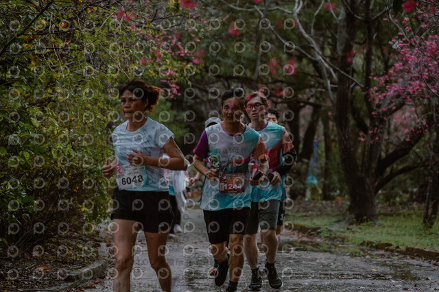 2026左岸竹東櫻花馬拉松Zhudong Sakura Marathon