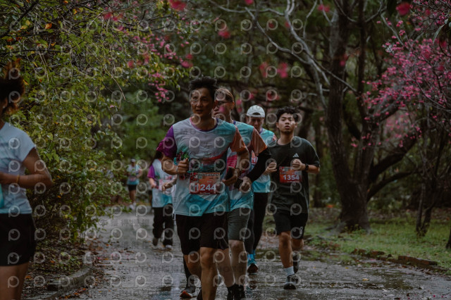2026左岸竹東櫻花馬拉松Zhudong Sakura Marathon