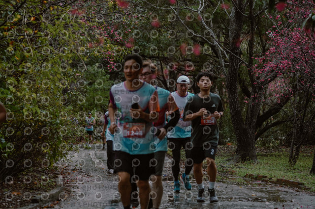 2026左岸竹東櫻花馬拉松Zhudong Sakura Marathon