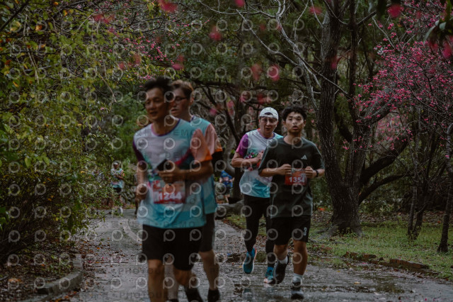 2026左岸竹東櫻花馬拉松Zhudong Sakura Marathon