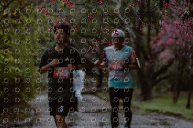 2026左岸竹東櫻花馬拉松Zhudong Sakura Marathon