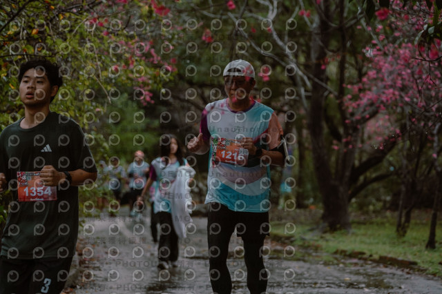 2026左岸竹東櫻花馬拉松Zhudong Sakura Marathon