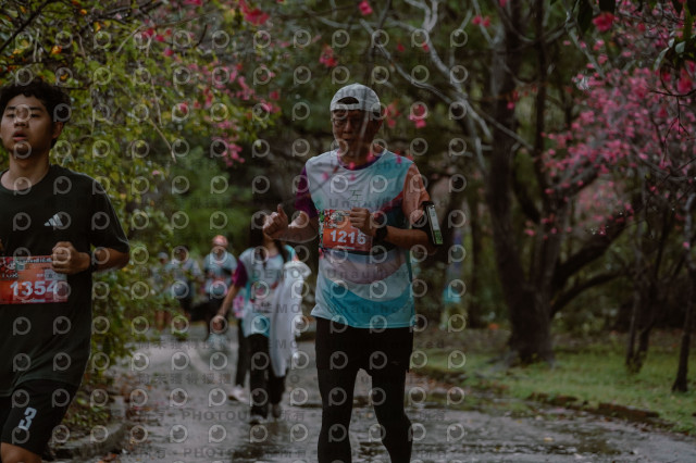 2026左岸竹東櫻花馬拉松Zhudong Sakura Marathon