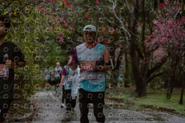 2026左岸竹東櫻花馬拉松Zhudong Sakura Marathon