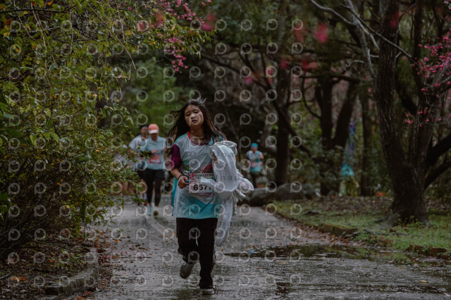 2026左岸竹東櫻花馬拉松Zhudong Sakura Marathon