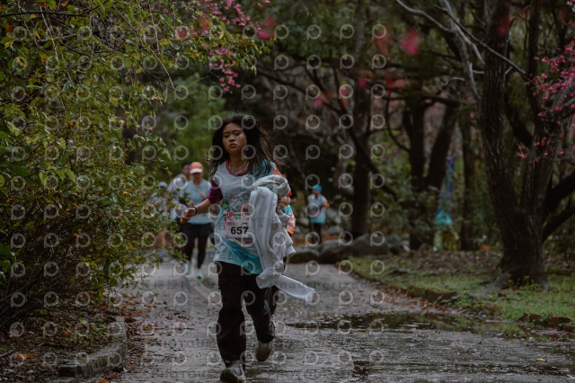 2026左岸竹東櫻花馬拉松Zhudong Sakura Marathon