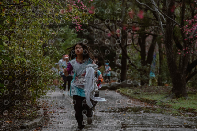 2026左岸竹東櫻花馬拉松Zhudong Sakura Marathon