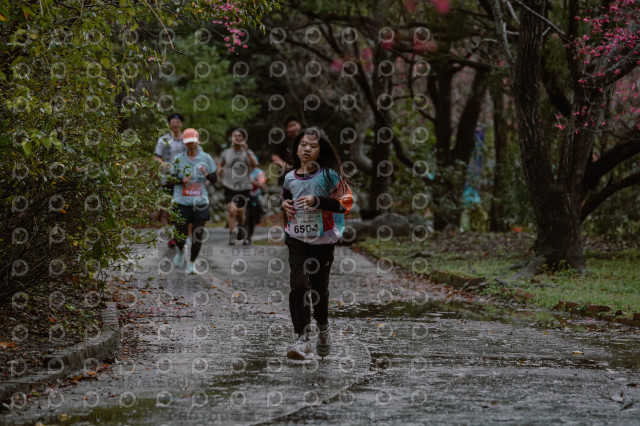 2026左岸竹東櫻花馬拉松Zhudong Sakura Marathon