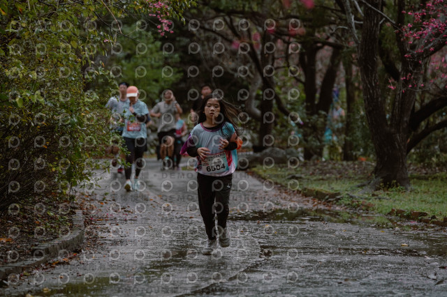 2026左岸竹東櫻花馬拉松Zhudong Sakura Marathon
