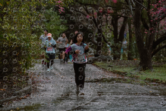 2026左岸竹東櫻花馬拉松Zhudong Sakura Marathon