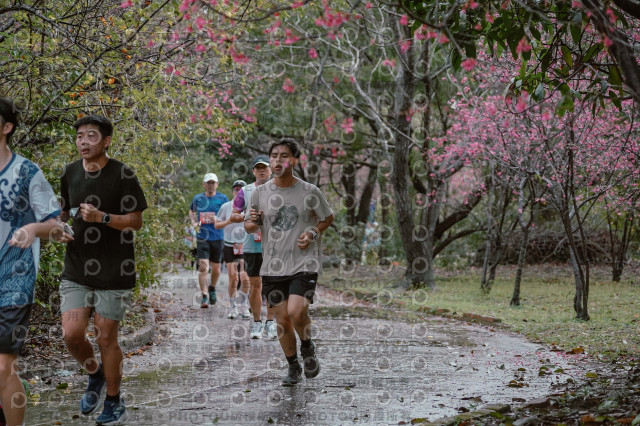 2026左岸竹東櫻花馬拉松Zhudong Sakura Marathon