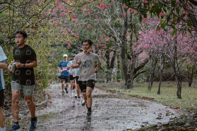 2026左岸竹東櫻花馬拉松Zhudong Sakura Marathon
