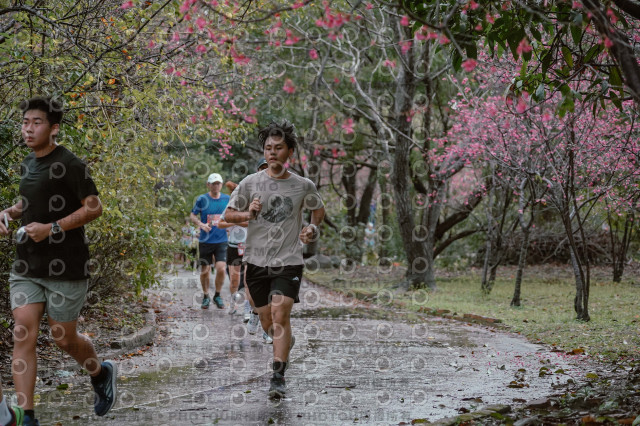 2026左岸竹東櫻花馬拉松Zhudong Sakura Marathon
