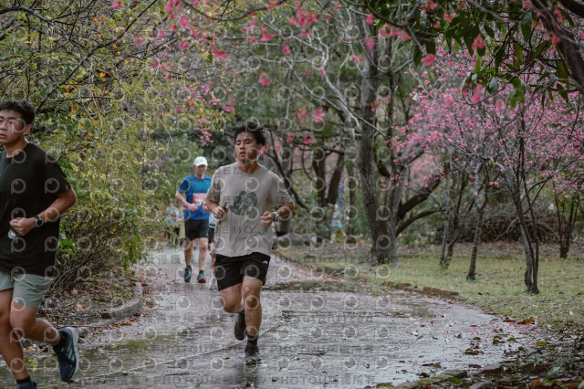 2026左岸竹東櫻花馬拉松Zhudong Sakura Marathon