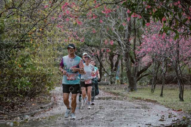 2026左岸竹東櫻花馬拉松Zhudong Sakura Marathon