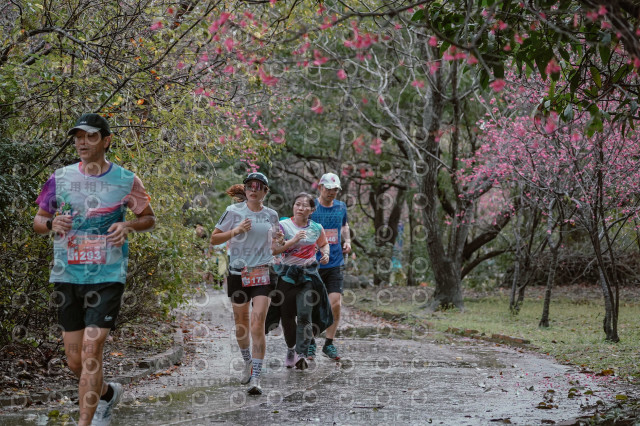 2026左岸竹東櫻花馬拉松Zhudong Sakura Marathon