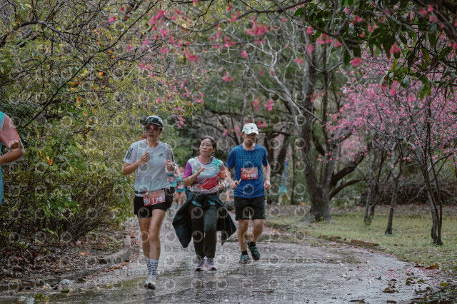 2026左岸竹東櫻花馬拉松Zhudong Sakura Marathon