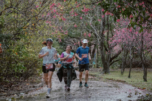 2026左岸竹東櫻花馬拉松Zhudong Sakura Marathon
