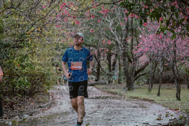 2026左岸竹東櫻花馬拉松Zhudong Sakura Marathon