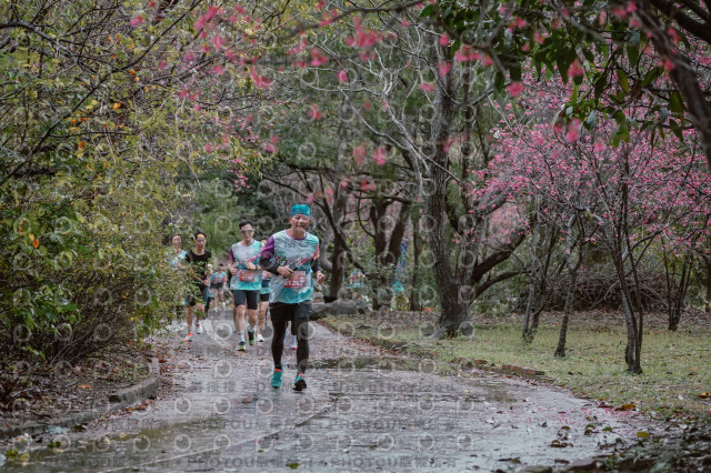 2026左岸竹東櫻花馬拉松Zhudong Sakura Marathon