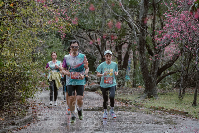2026左岸竹東櫻花馬拉松Zhudong Sakura Marathon