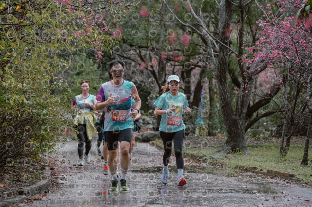 2026左岸竹東櫻花馬拉松Zhudong Sakura Marathon