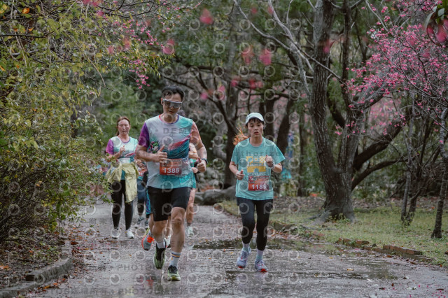 2026左岸竹東櫻花馬拉松Zhudong Sakura Marathon
