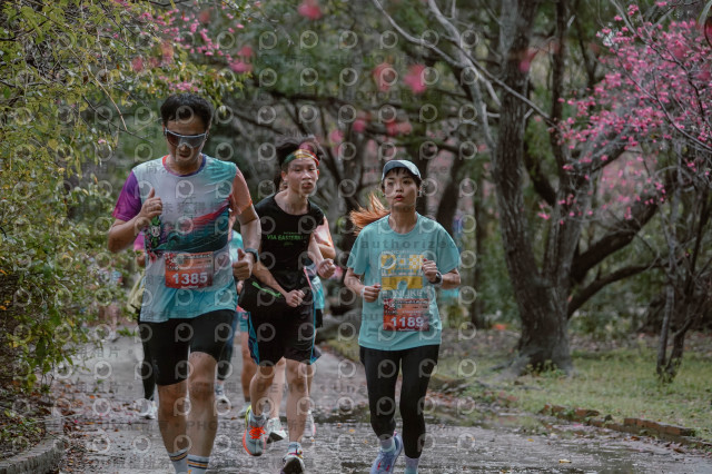 2026左岸竹東櫻花馬拉松Zhudong Sakura Marathon