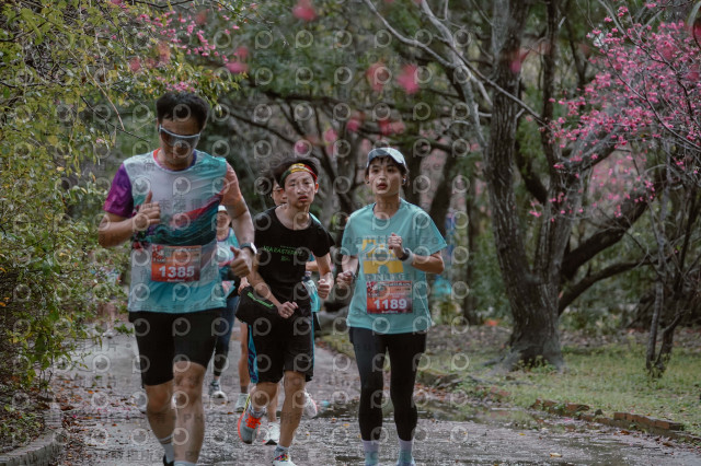2026左岸竹東櫻花馬拉松Zhudong Sakura Marathon