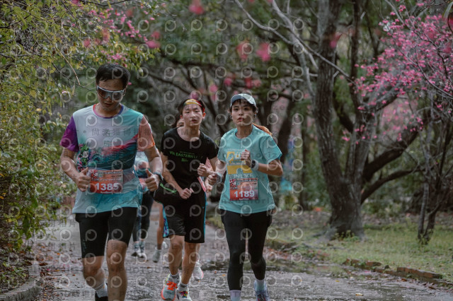 2026左岸竹東櫻花馬拉松Zhudong Sakura Marathon