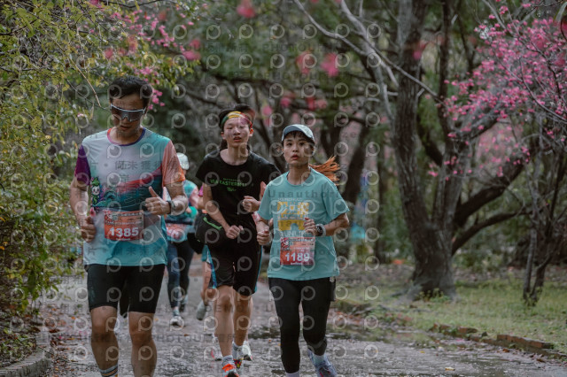 2026左岸竹東櫻花馬拉松Zhudong Sakura Marathon