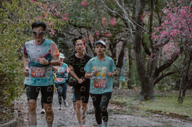2026左岸竹東櫻花馬拉松Zhudong Sakura Marathon