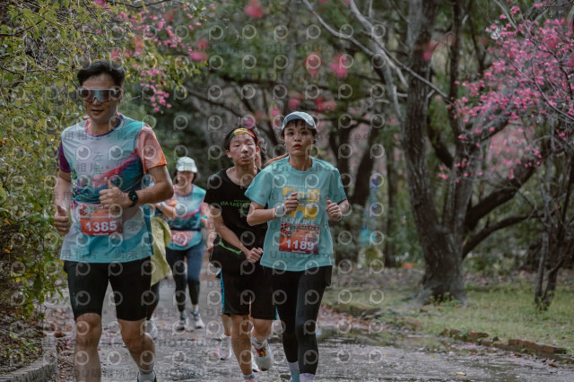 2026左岸竹東櫻花馬拉松Zhudong Sakura Marathon