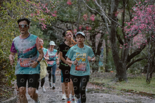 2026左岸竹東櫻花馬拉松Zhudong Sakura Marathon