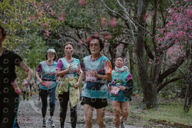 2026左岸竹東櫻花馬拉松Zhudong Sakura Marathon