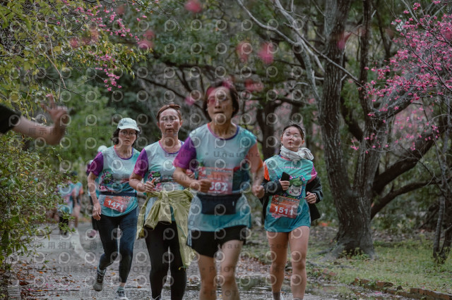 2026左岸竹東櫻花馬拉松Zhudong Sakura Marathon