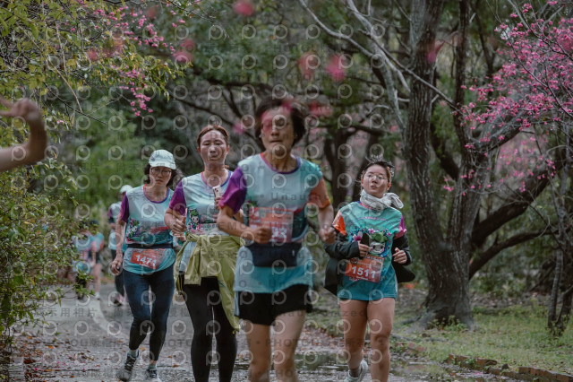 2026左岸竹東櫻花馬拉松Zhudong Sakura Marathon