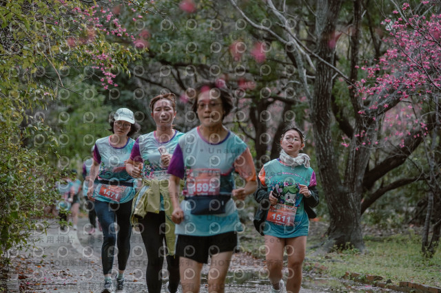 2026左岸竹東櫻花馬拉松Zhudong Sakura Marathon