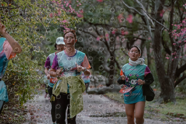 2026左岸竹東櫻花馬拉松Zhudong Sakura Marathon
