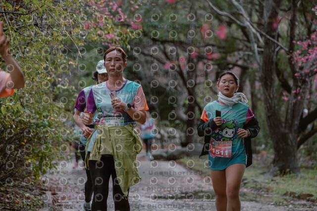 2026左岸竹東櫻花馬拉松Zhudong Sakura Marathon