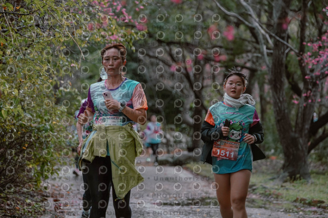 2026左岸竹東櫻花馬拉松Zhudong Sakura Marathon