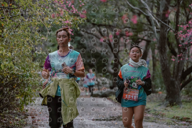 2026左岸竹東櫻花馬拉松Zhudong Sakura Marathon